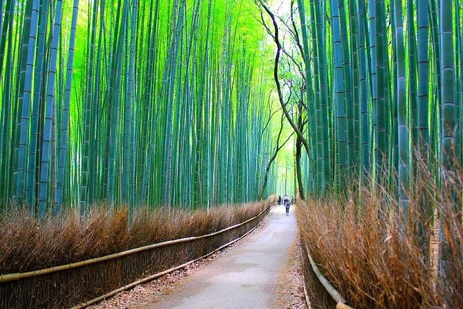 Private Walking Tour in Bamboo Forest & Hidden Spots in Arashiyama - Finishing at Togetsukyo Bridge