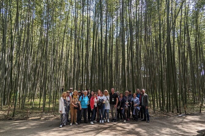 Private Walking Tour in the Arashiyama Bamboo Forest with Guide - Tenryu-ji, ponds, and temple life