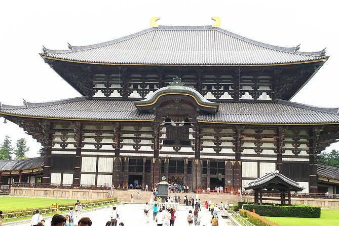 Relax in Nara: Deer Park, Todai-ji Temple and Merchants' Town - Is $117.88 a fair price?