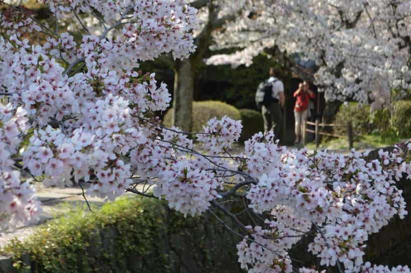 Sacred Pathways: Discover the Philosopher's Path of Kyoto - Nanzenji, temples, and the unexpected aqueduct