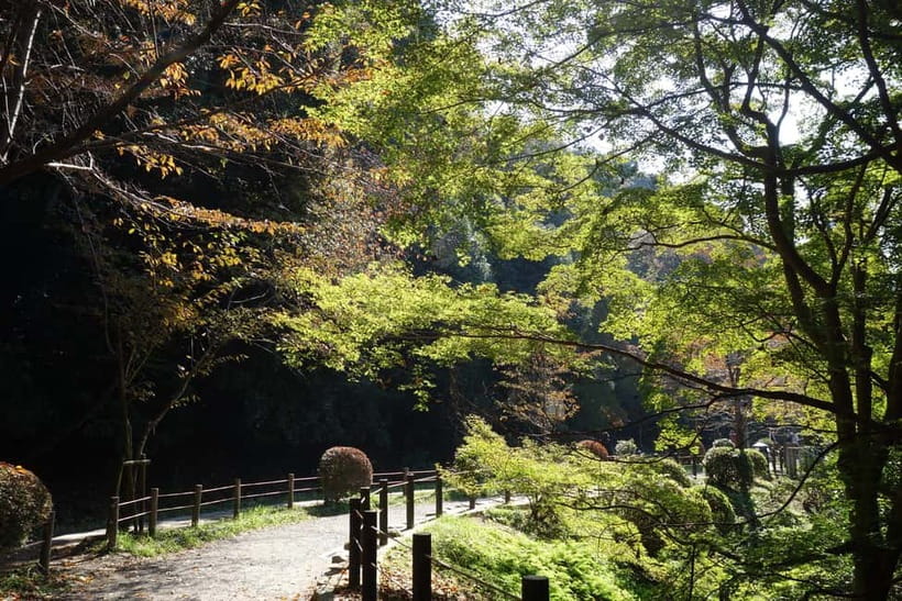 Sacred Pathways: Discover the Philosopher's Path of Kyoto - The $64 price and what it really covers