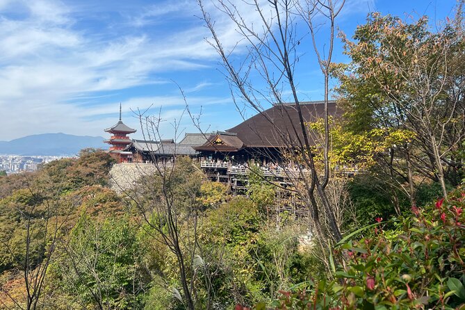 Sacred Treasure Fushimi Inari and Kiyomizu Dera Tour - Timing, transport, and group size