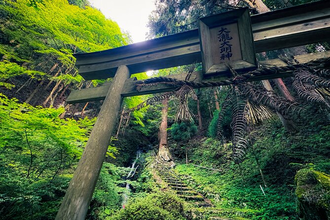 Scenic Green Tea Fields of Hidden Kyoto & Local Tea Exp (Private) - Why Kyoto’s tea country is worth the drive