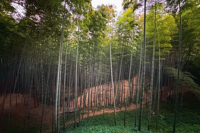 Scenic Green Tea Fields of Hidden Kyoto & Local Tea Exp (Private) - What the private vehicle changes