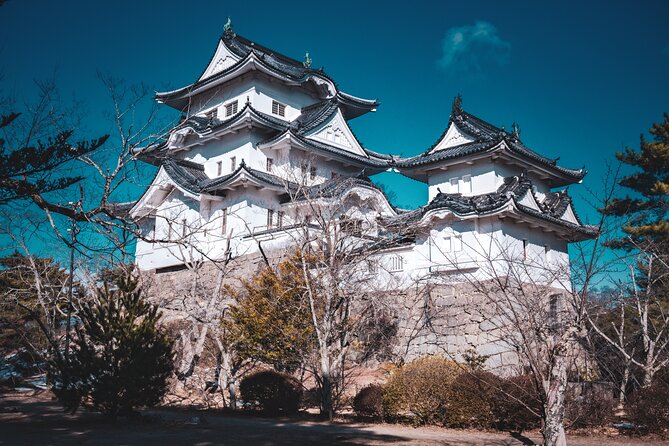 Secrets of Ninjas X Samurais: Private History Tour to Iga & Koka - Why Iga makes the ninja story feel real