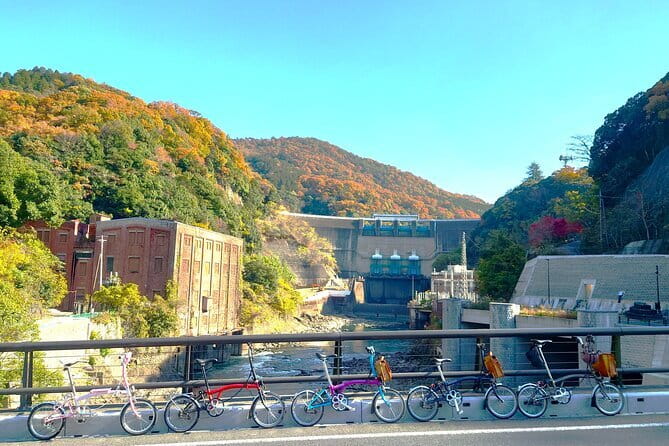 Slow Cycling Tour at Uji's Matcha Green Tea Fields and Heritage - Starting beside Uji Station at 10 a.m.