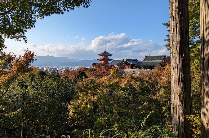 Tour in Kyoto with a Goverment Certified Tour Guide - Arashiyama bamboo and Tenryu-ji