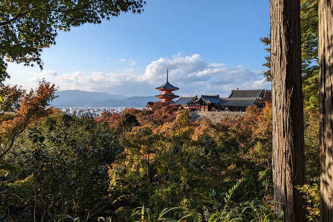 Tour in Kyoto with a Goverment Certified Tour Guide - Kiyomizu-dera above Higashiyama