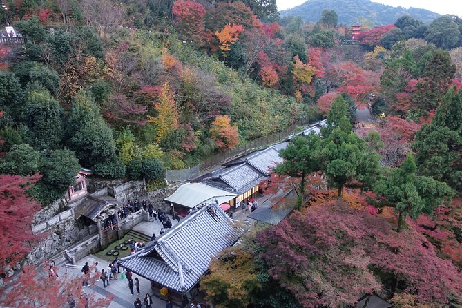 TREASURES of Kyoto: Fushimi Inari, Kiyomizu Temple, and more! - Weather and cancellation details