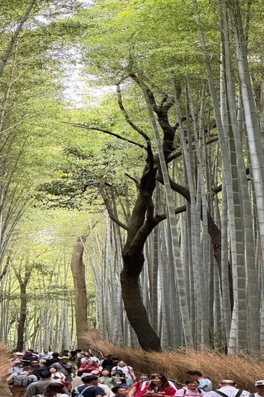 Treasures of Kyoto: Gion & historical Walking Tour - Chion-in brings a temple pause