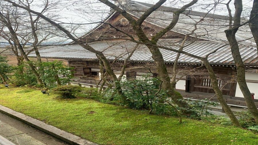 Treasures of Kyoto: Gion & historical Walking Tour - Hanamikoji Street is the visual centerpiece