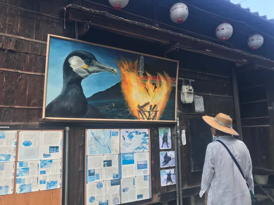 Uji: Green Tea Tour with Byodoin and Koshoji Temple Visits - Is the $111 price good value?