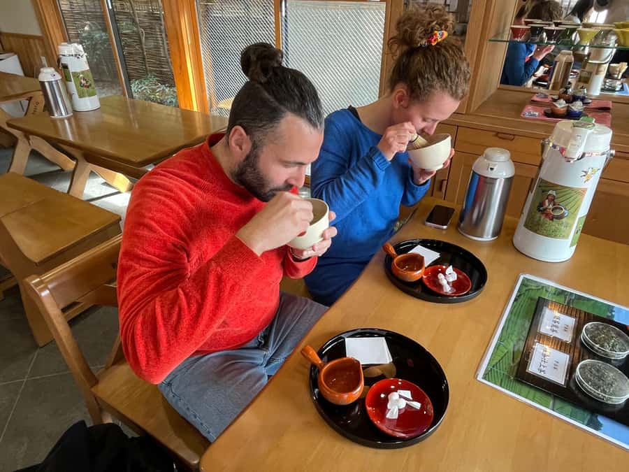 Uji: Green Tea Tour with Byodoin and Koshoji Temple Visits - The gyokuro tasting, where tea becomes the main event
