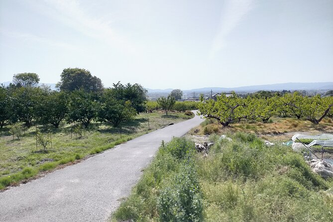 Village to village walk: Japan's oldest road, Yamanobe ancient trail (Private) - Practical planning for an eight-hour day