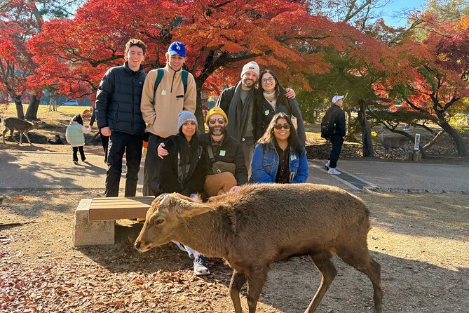 World Heritage Kyoto & Nara Uji Authentic Matcha Experience - Meeting at Kyoto Avanti before 8 a.m.